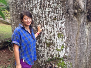 the powerful 400 year old tree and me